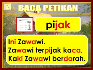 pi jak I ni  Za wa wi. Za wa wi ter pi jak ka ca . Ka ki  Za wa wi ber da rah. BACA PETIKAN 