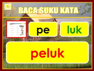 pe luk peluk BACA SUKU KATA 