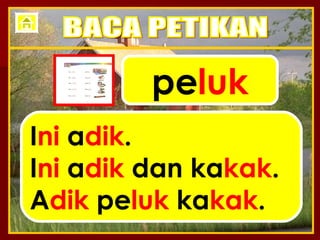 pe luk I ni  a dik . I ni  a dik  dan ka kak . A dik  pe luk  ka kak . BACA PETIKAN 