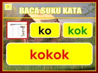 ko kok kokok BACA SUKU KATA 