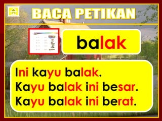 ba lak I ni  ka yu  ba lak . Ka yu  ba lak  i ni  be sar . Ka yu  ba lak  i ni  be rat . BACA PETIKAN 