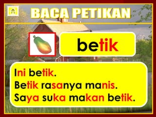 betik
Ini betik.
Betik rasanya manis.
Saya suka makan betik.
 