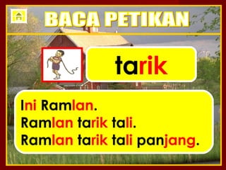 tarik
Ini Ramlan.
Ramlan tarik tali.
Ramlan tarik tali panjang.
 