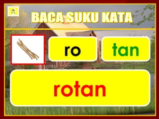 ro     tan

rotan
 