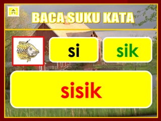 si      sik

sisik
 