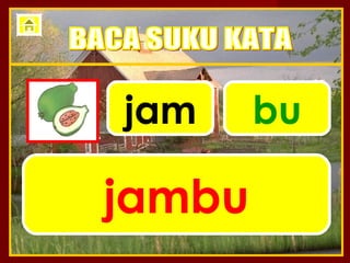 jam     bu

jambu
 
