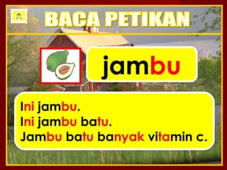 jambu
Ini jambu.
Ini jambu batu.
Jambu batu banyak vitamin c.
 