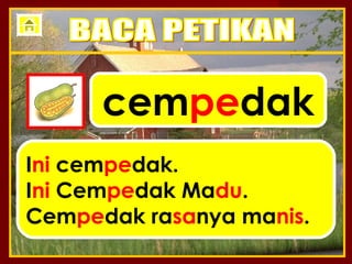 cempedak
Ini cempedak.
Ini Cempedak Madu.
Cempedak rasanya manis.
 