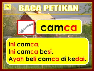 camca
Ini camca.
Ini camca besi.
Ayah beli camca di kedai.
 