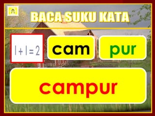 cam   pur

campur
 