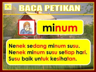 minum
Nenek sedang minum susu.
Nenek minum susu setiap hari.
Susu baik untuk kesihatan.
 