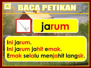 jarum
Ini jarum.
Ini jarum jahit emak.
Emak selalu menjahit langsir.
 