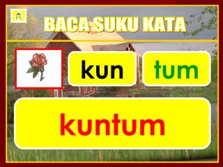 kun   tum

kuntum
 