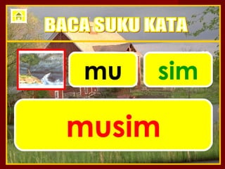 mu   sim

musim
 