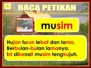 musim
Hujan turun lebat dan lama.
Berbulan-bulan lamanya.
Ini dikenali musim tengkujuh.
 
