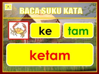 ke   tam

ketam
 