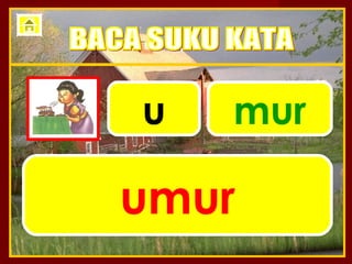 u   mur

umur
 