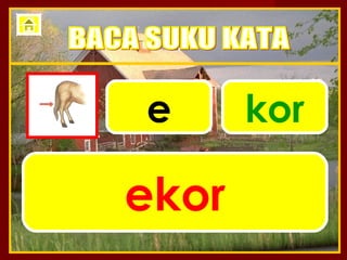 e      kor

ekor
 