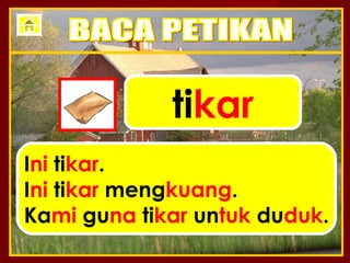 tikar
Ini tikar.
Ini tikar mengkuang.
Kami guna tikar untuk duduk.
 