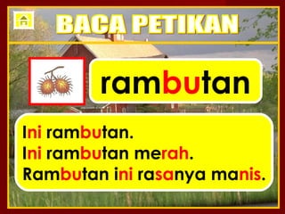 rambutan
Ini rambutan.
Ini rambutan merah.
Rambutan ini rasanya manis.
 