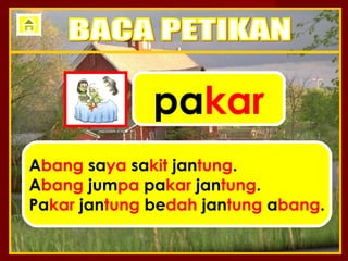 pakar
Abang saya sakit jantung.
Abang jumpa pakar jantung.
Pakar jantung bedah jantung abang.
 