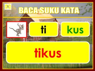 ti     kus

tikus
 