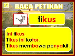 tikus
Ini tikus.
Tikus ini kotor.
Tikus membawa penyakit.
 