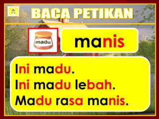 manis
Ini madu.
Ini madu lebah.
Madu rasa manis.
 