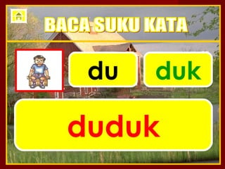 du   duk

duduk
 