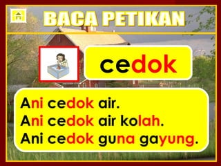 cedok
Ani cedok air.
Ani cedok air kolah.
Ani cedok guna gayung.
 