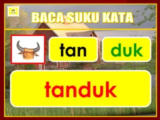 tan   duk

tanduk
 