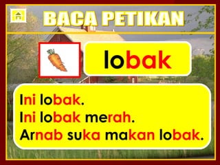 lobak
Ini lobak.
Ini lobak merah.
Arnab suka makan lobak.
 