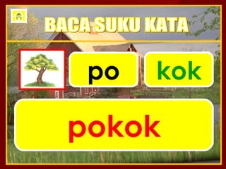 po   kok

pokok
 