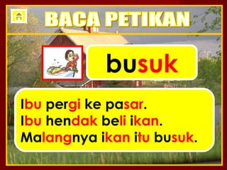 busuk
Ibu pergi ke pasar.
Ibu hendak beli ikan.
Malangnya ikan itu busuk.
 