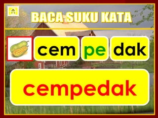 cem pe dak

cempedak
 