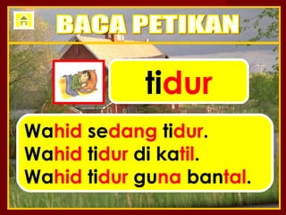 tidur
Wahid sedang tidur.
Wahid tidur di katil.
Wahid tidur guna bantal.
 