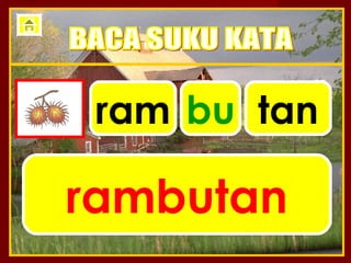 ram bu tan

rambutan
 