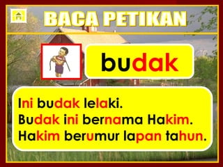 budak
Ini budak lelaki.
Budak ini bernama Hakim.
Hakim berumur lapan tahun.
 