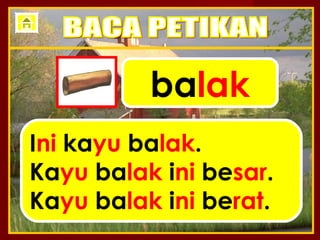 balak
Ini kayu balak.
Kayu balak ini besar.
Kayu balak ini berat.
 