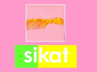 sikat
 