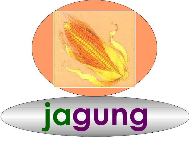 Suku Kata Kvkvkk