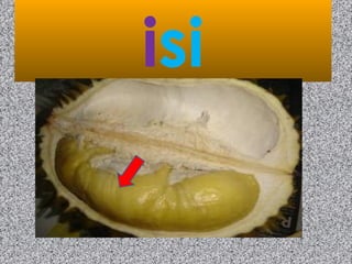 isi
 