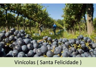 Vinícolas ( Santa Felicidade )

 
