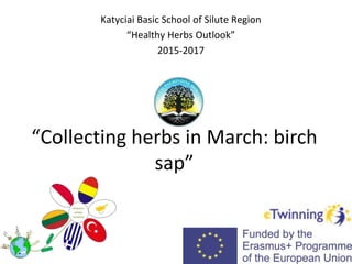 “Collecting herbs in March: birch
sap”
Katyciai Basic School of Silute Region
“Healthy Herbs Outlook”
2015-2017
 