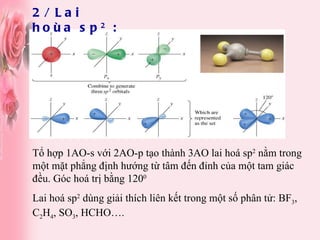 2/ Lai hoùa sp 2  : Tổ hợp 1AO-s với 2AO-p tạo thành 3AO lai hoá sp 2  nằm trong một mặt phẳng định hướng từ tâm đến đỉnh của một tam giác đều. Góc hoá trị bằng 120 0  Lai hoá sp 2  dùng giải thích liên kết trong một số phân tử: BF 3 , C 2 H 4 , SO 3 , HCHO…. 