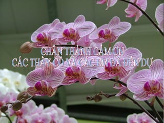 CHÂN THÀNH CẢM ƠN  CÁC THẦY CÔ VÀ CÁC EM ĐÃ ĐẾN DỰ 