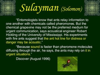 “ Entomologists know that ants relay information to one another with chemicals called pheromones. But the chemical grapevine may not be the preferred medium for urgent communication, says acoustical engineer Robert Hickling of the University of Mississippi. His experiments with fire ants suggest that  the ant hot line for distress or danger may be acoustic .” “ Because  sound  is faster than pheromone molecules diffusing through the air, he says, the ants may rely on  it in urgent situations .” Discover (August 1996) Sulayman   (Solomon) 