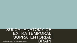 SULCAL ANATOMY OF
EXTRA TEMPORAL
SUPRATENTORIAL
BRAINPresented by – Dr. Sarbesh Tiwari
 