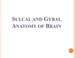 SULCAL AND GYRAL
ANATOMY OF BRAIN
 