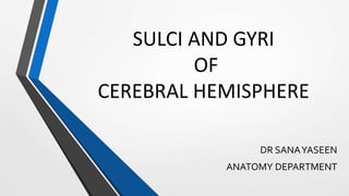 SULCI AND GYRI
OF
CEREBRAL HEMISPHERE
DR SANAYASEEN
ANATOMY DEPARTMENT
 